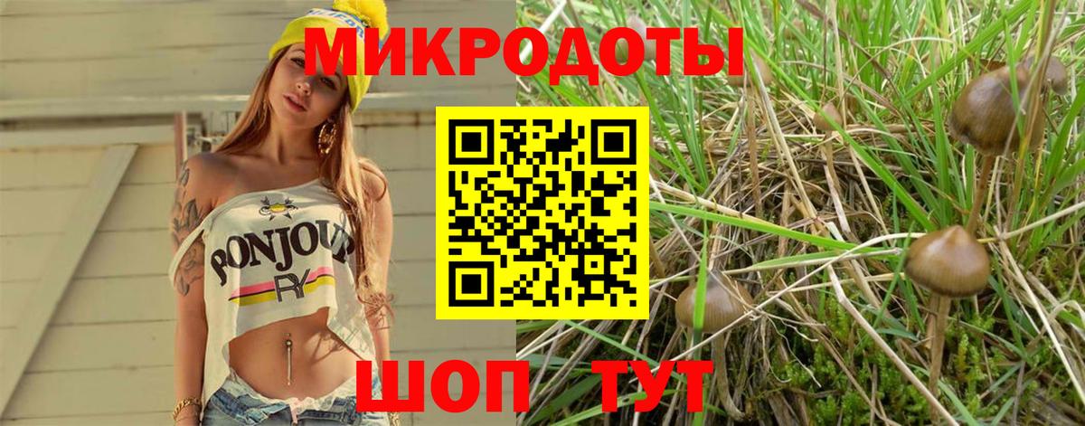 Галлюциногенные грибы мухоморы Каспийск