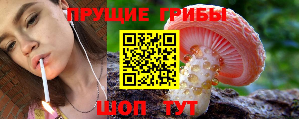 Галлюциногенные грибы мицелий  Вход с VPN  Галлюциногенные грибы GOLDEN TEACHER  Каспийск 